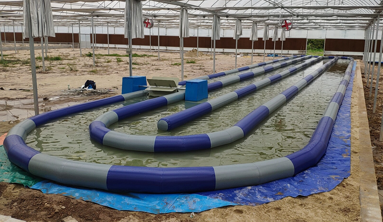 充气移动式水槽藻类培育养殖