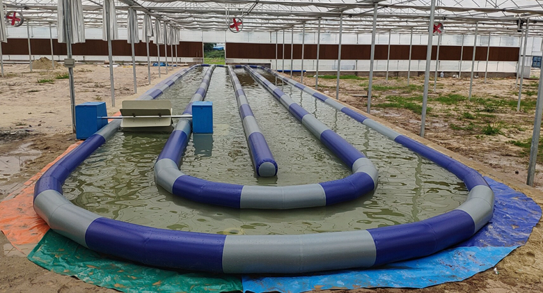充气移动式水槽藻类培育养殖1