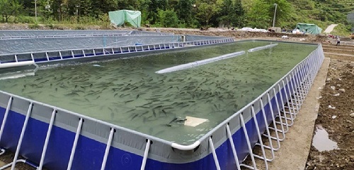 贵州遵义移动式支架跑道池进行高密度养鱼