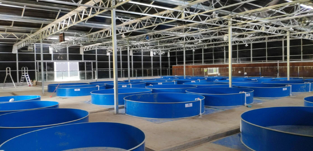 小型工厂化循环水养殖系统