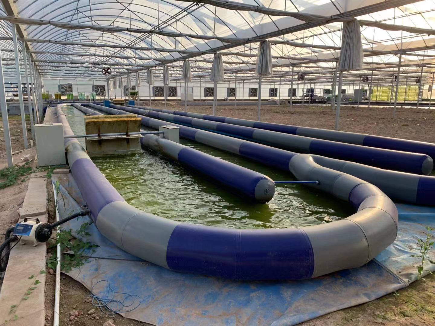 充气移动式养殖水槽藻类培育养殖