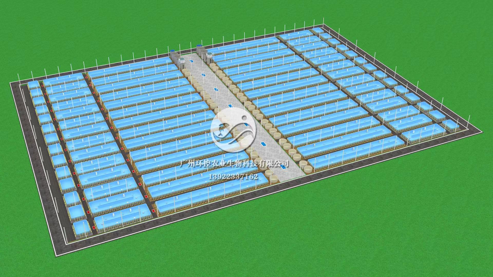 阳江大棚支架式养殖池循环水养殖对虾项目