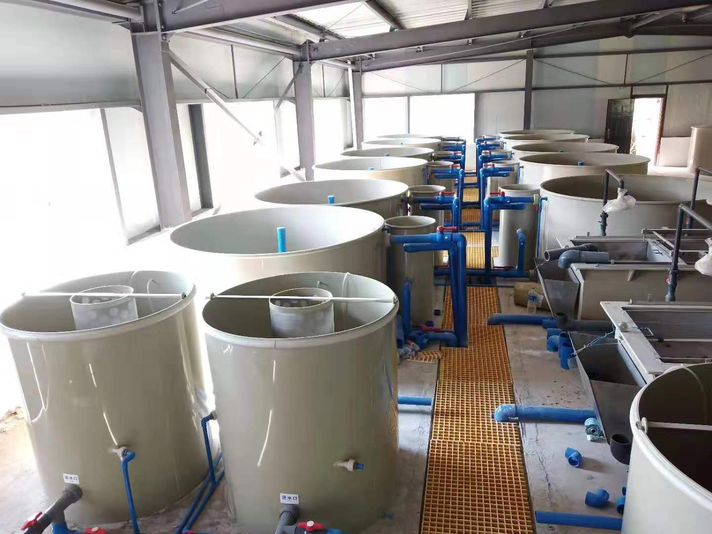 循环水养殖设备安装六