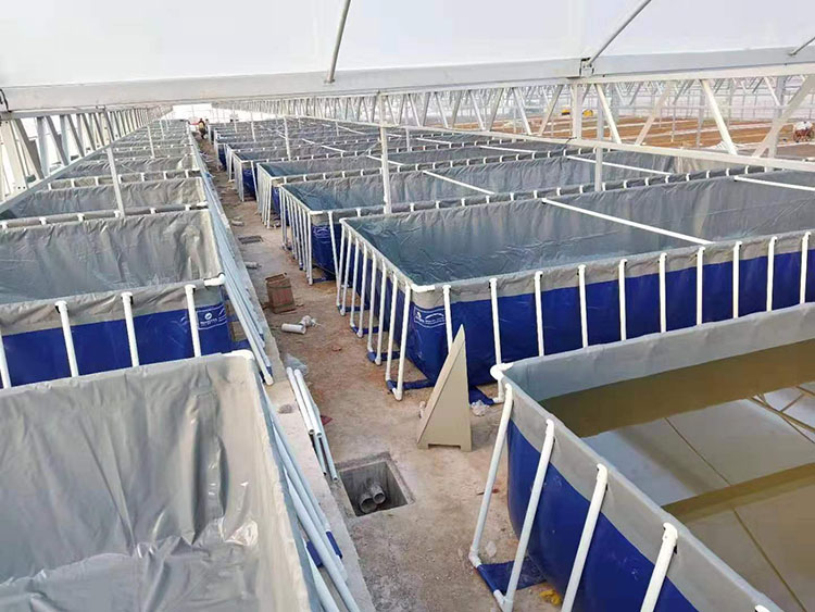 阳江循环水养殖设备搭建跟进中